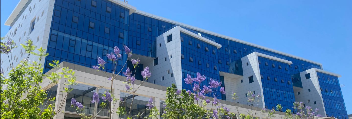 פרויקט אלומיניום תצוגה