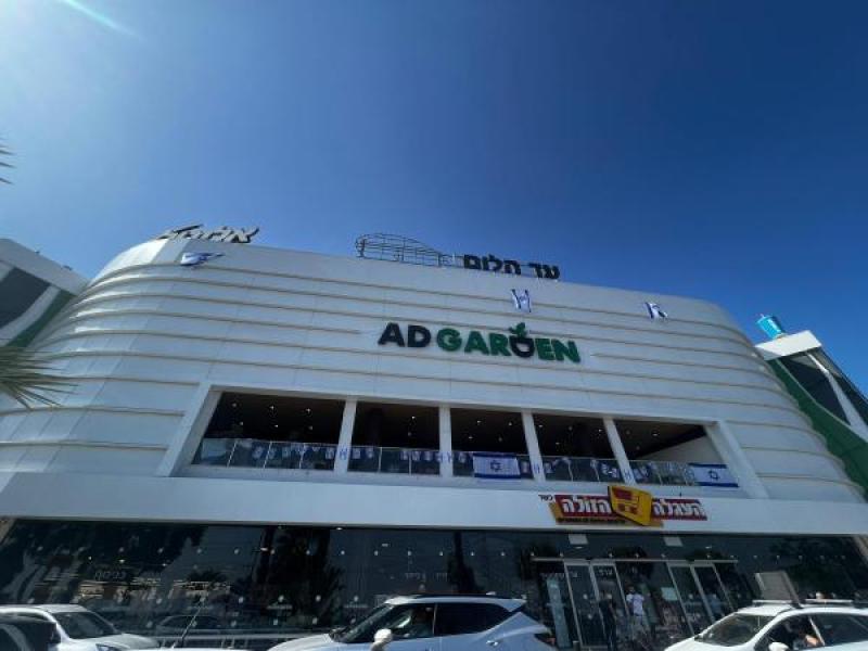 חזית מרכזית